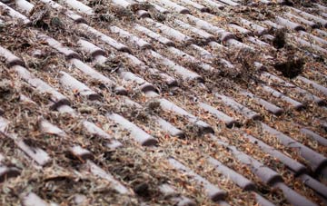 Durrant Green roof cleaning companies